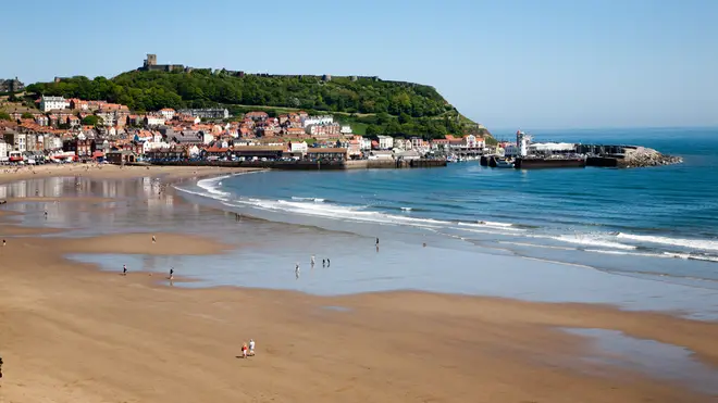 Dog owners have been warned against going to Scarborough Beach with their pets