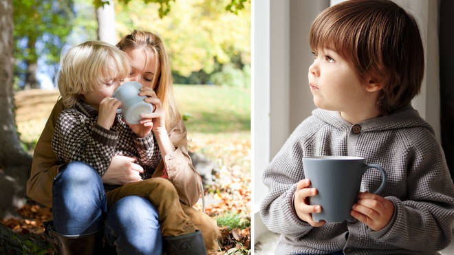 Would you let your toddler drink tea?