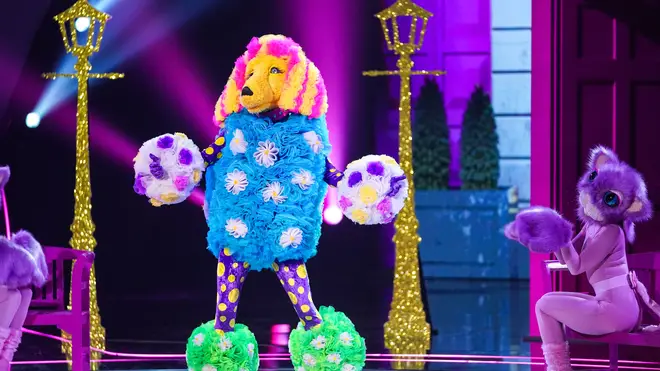 Fans think they've worked out Poodle's identity after a key clue