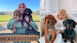 Stacey Solomon has adopted a new dog