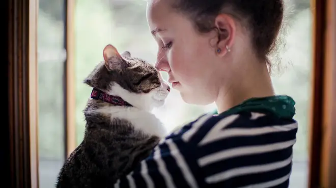 This cat owner knew the sound of her pet's meow so well it ended up bringing him home