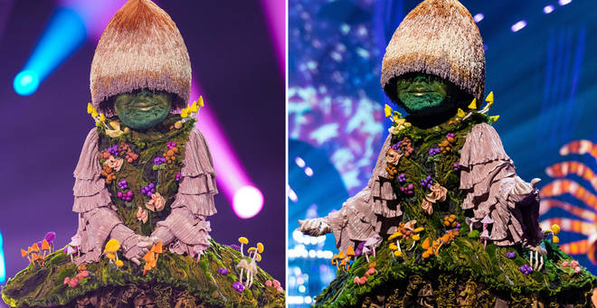 Who is The Masked Singer's Mushroom?