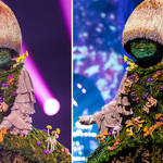 Who is The Masked Singer's Mushroom?