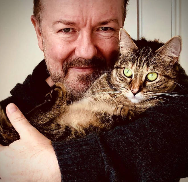 Ricky Gervais and his wife have a rescue cat called Pickle