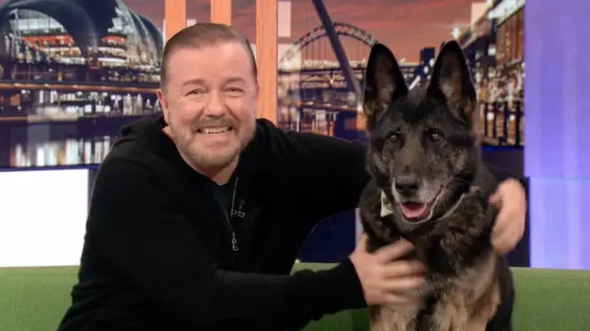 Anti plays Brandy in After Life, Ricky Gervais' character's beloved pet dog