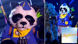 The Masked Singer fans think they know who Panda is