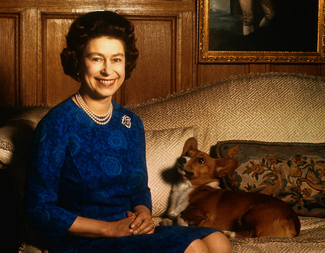 The Queen has owned many corgis throughout her life