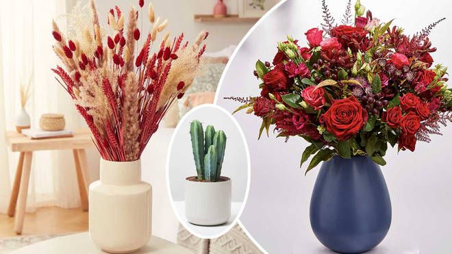 We've picked out some perfect plant presents