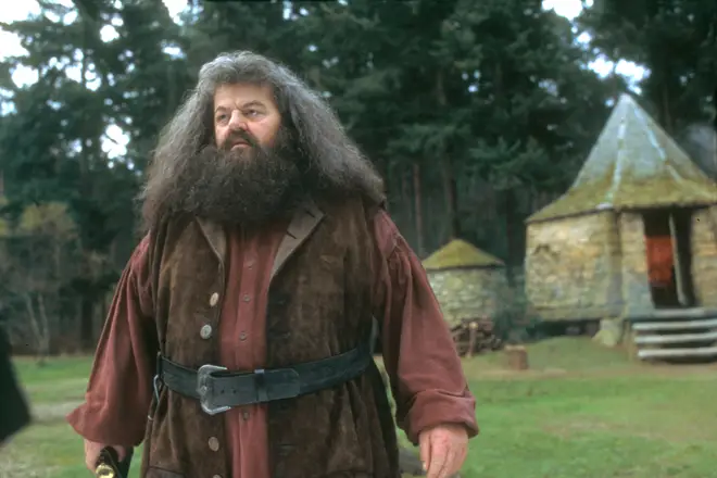 Some people think Hagrid looked after Harry in his cottage following the death of Lily and James