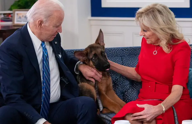 President Joe Biden and First Lady Jill Biden are also the owners of a German Shepherd puppy