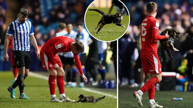 Topsey caused havoc on the football pitch on Tuesday night