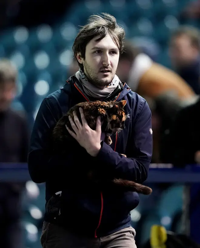 Topsey was taken off the pitch successfully and taken to a local vet