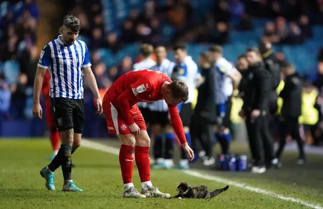 The players handled Topsey – who was clearly scared – with care as they attempted to bring her off the football pitch