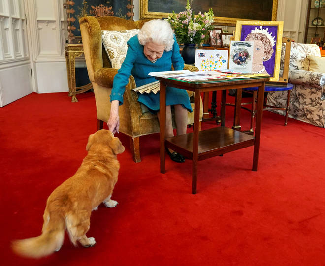 The Queen's meeting was interrupted by her beloved dog, Candy