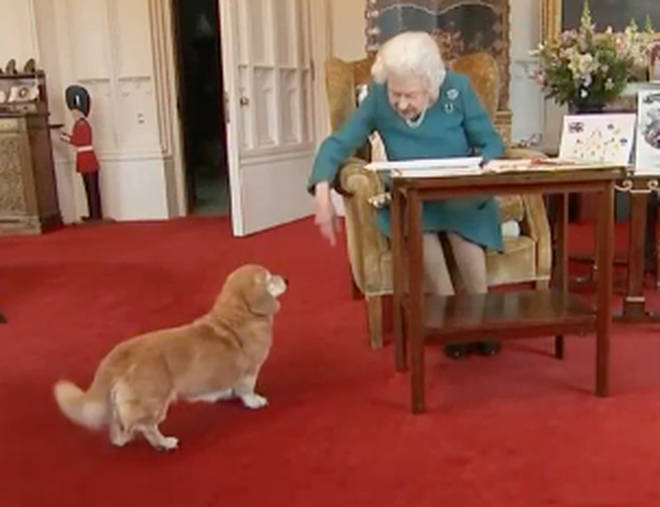 Her Majesty told her dog: 'I know what you want'