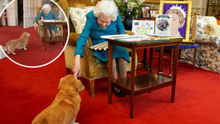 This rare footage of the Queen candidly interacting with her corgi has gone viral