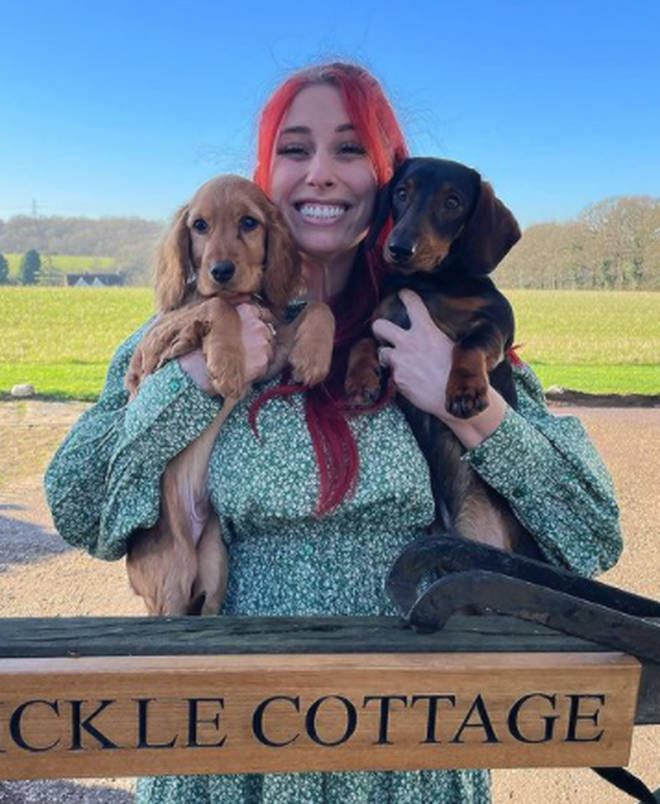 Stacey Solomon adopted puppy Teddy last month