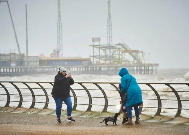 People should keep their dogs inside when the storm is at its worst