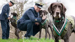 Hertz was taken to receive his award with former handler and trainer Warrant Officer Jonathan Tanner