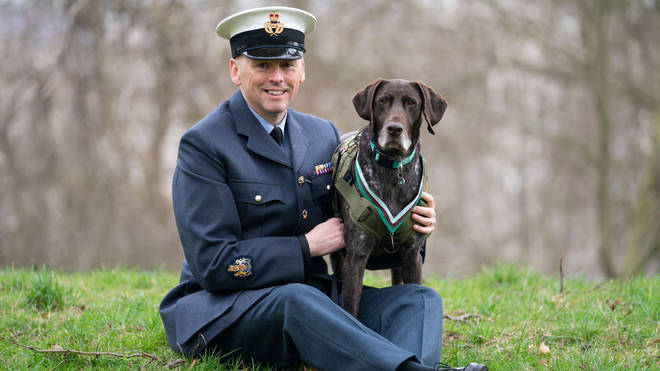 The award Hertz received is the highest award any animal can receive whilst serving in military conflict