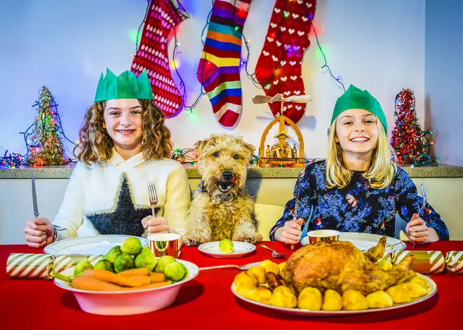 Dogs can enjoy a Christmas dinner but there are lots of things you should avoid giving them