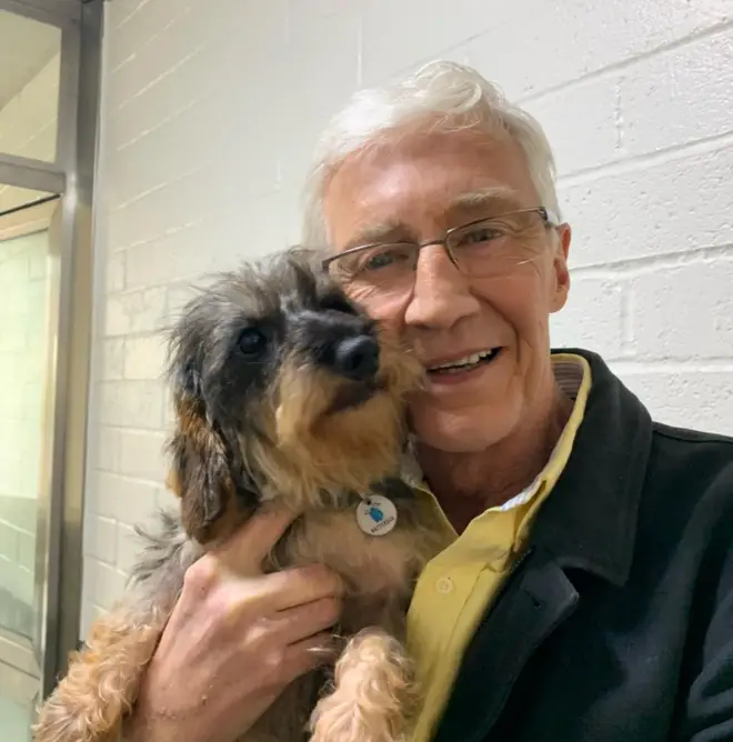 Paul O'Grady fell head-over-heels for wire-hired dachshund Sausage when filming For The Love Of Dogs