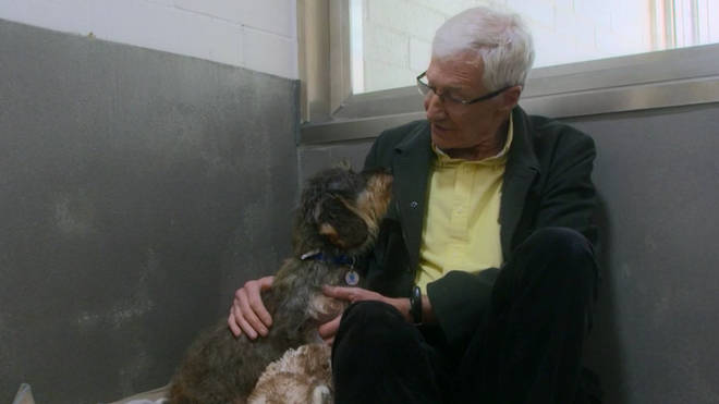 Paul O'Grady met Sausage at Battersea Cats & Dogs Home where he films For The Love Of Dogs