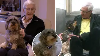 Paul O'Grady breaks TV contract as he adopts another dog during filming