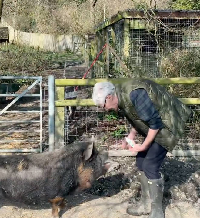 Paul O'Grady has a number of animals on his farm, including pigs, chickens, goats and owls