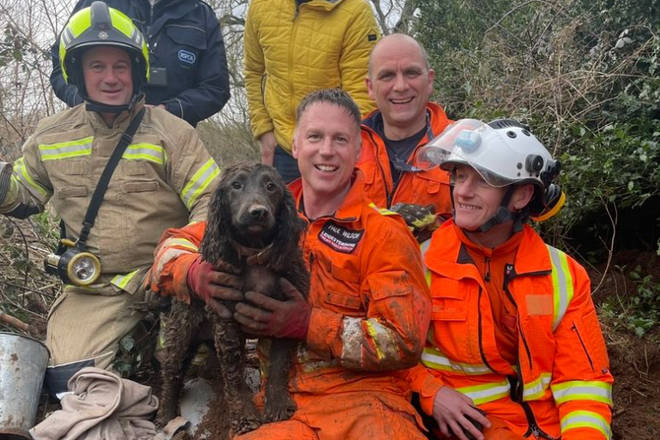 Almost three days after he fell into the sett, Winston was rescued by a team of experts
