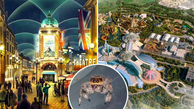 ITV and BBC have pulled out of the theme park plans