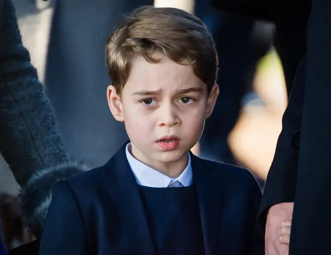 Prince George was reportedly playing in a stream with Princess Charlotte when he went to stroke the dog owner's pet pooch