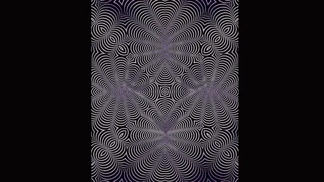 What animal can you see in this illusion?