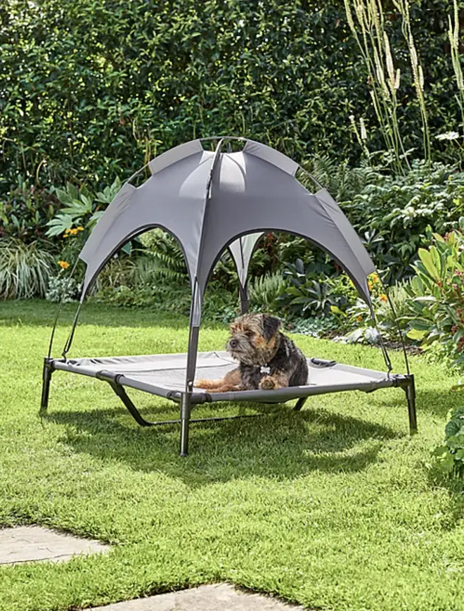 Asda is selling a dog gazebo