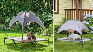 You can not buy a dog gazebo for the hot weather