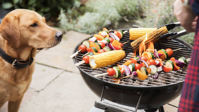A dog owner has warned over the a 'dangerous' BBQ accessory