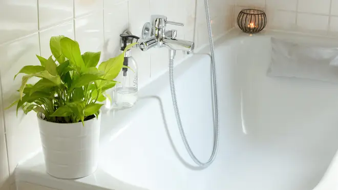 Try putting a Peace Lily in your bathroom