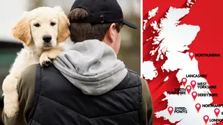 Map reveals dog theft hotspots across the England and Wales