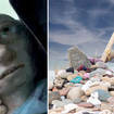 Dobby's grave could be moved from its place on Freshwater West
