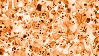 A new puzzle challenges you to find the hidden corgi