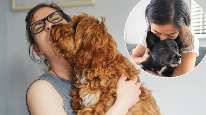 Millennials love their pets more than their siblings