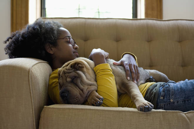 More than 50% of Millennials prefer their pets to family members