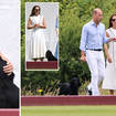 The Duke and Duchess of Cambridge bought their family dog along to the Royal Polo match