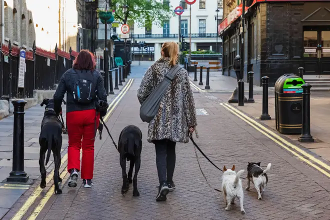 Would you dog sit for £200 a month?