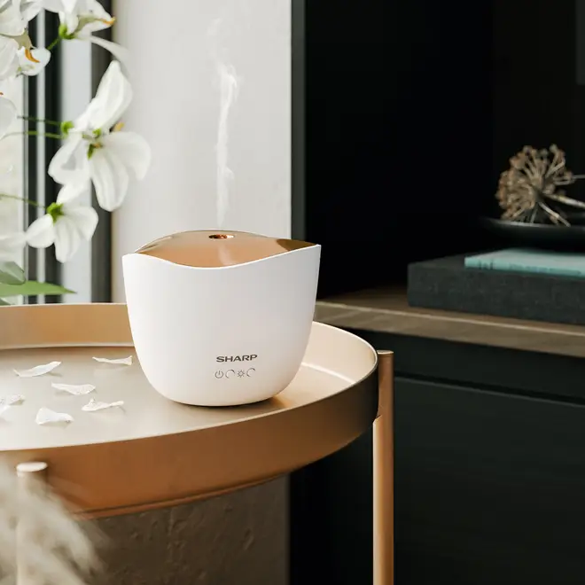 Sharp Ultrasonic Aroma Diffuser