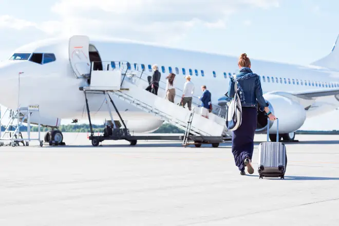 The woman is calling for airlines to offer adult-only flights for people that won't want to be disturbed by screaming children