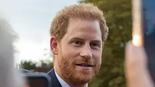 Prince Harry greeting the public