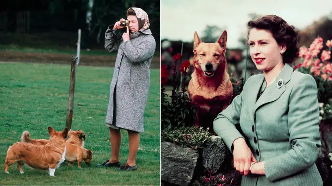 The late monarch's dogs had all sorts of interesting names, including Brush and Disco.