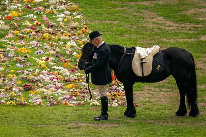 Emma, the Queen's beloved pony, and Head Stud Terry Pendry watch as the Queen's hearse arrives at Windsor Castle