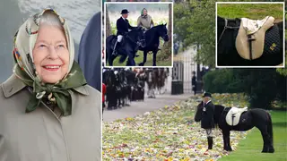 The Queen's beloved pony Emma watched as Her Majesty's coffin travelled to Windsor Castle for the final time
